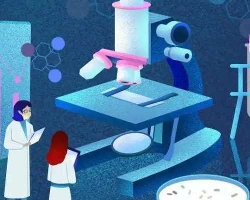 长沙代孕靠不靠谱呢,长沙妇幼能做供卵试管吗？附详细成功率数据