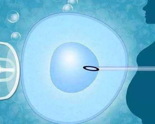 长沙可靠代怀公司,做试管去医院是什么流程？是建档还是制定方案？_上海有没