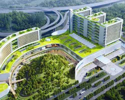 长沙高龄借卵价格,长沙同性恋想要孩子怎么办_正规助孕中介