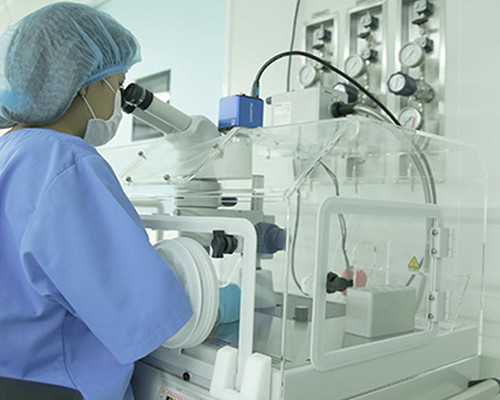 长沙成功供卵试管,长沙医院做试管婴儿的具体时间和步骤表