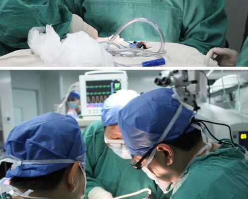 长沙供卵试管三胞胎多少钱,长沙试管私立医院有哪几家长沙私立试管医院